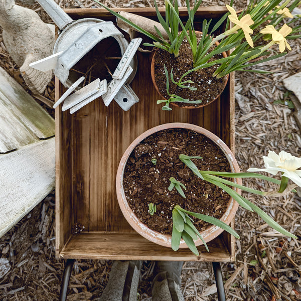 Vintage Inspired Flower Garden Cart Wagon