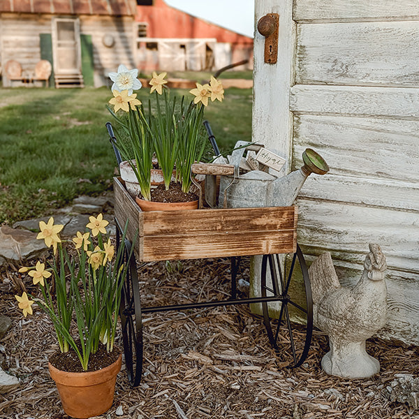 Vintage Inspired Flower Garden Cart Wagon