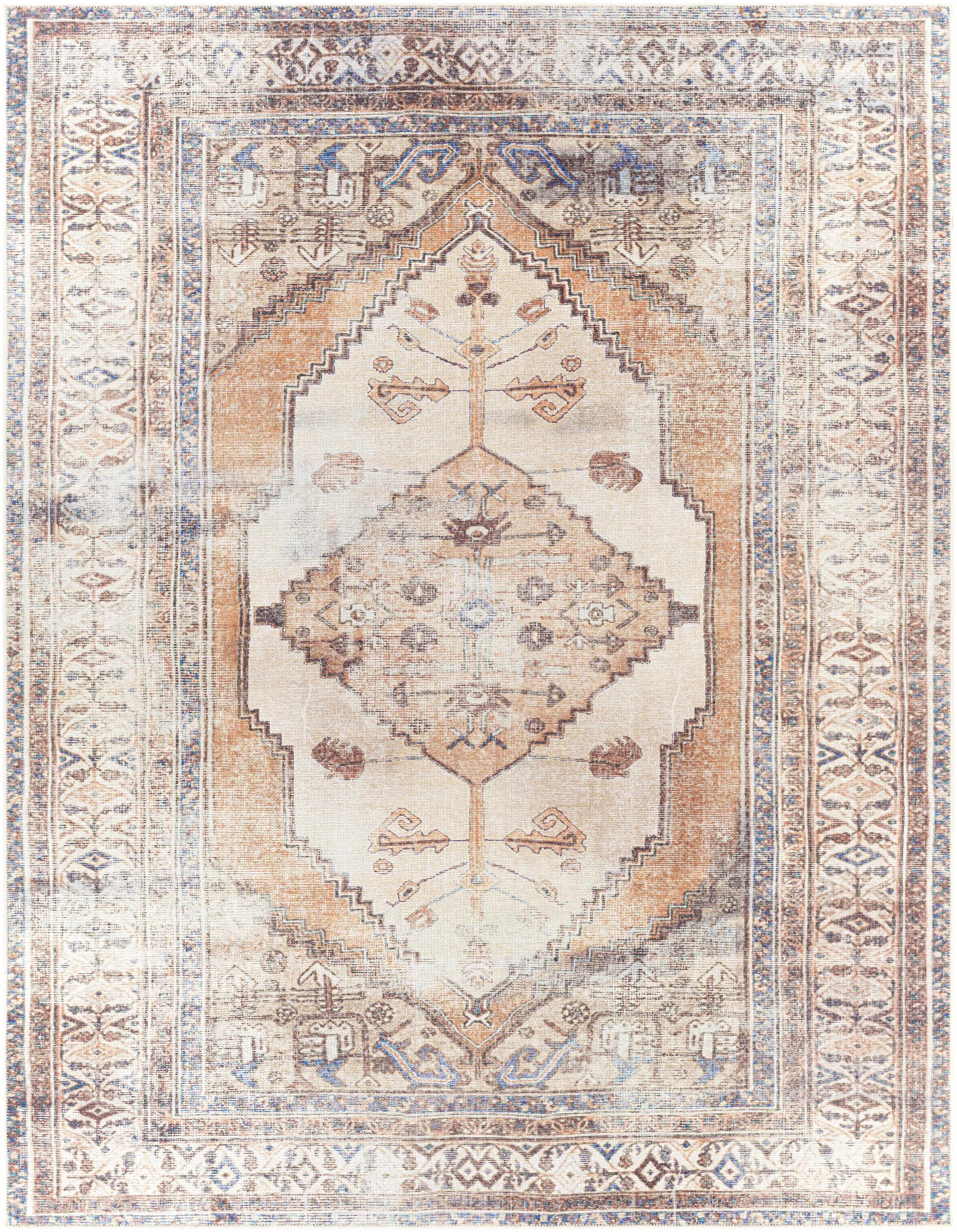 Turkish Inspired Area Rug