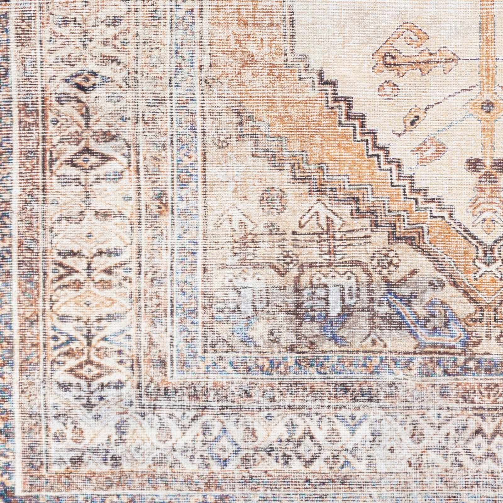 Turkish Inspired Area Rug