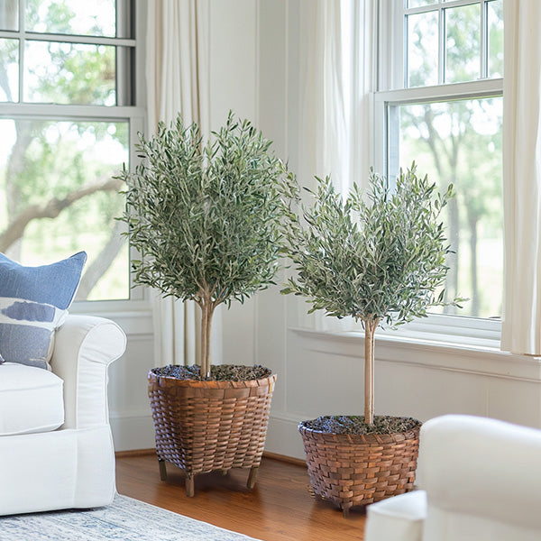 Footed Round Woven Wood Baskets, Set of Two