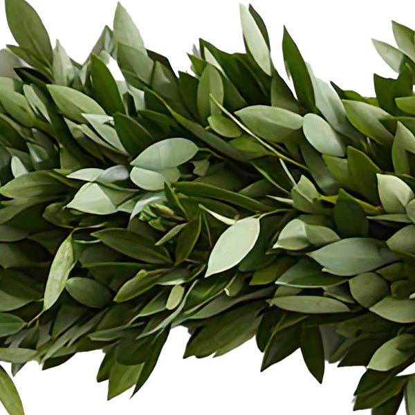 Bay Leaf Cooking Garland, Choose Your Size