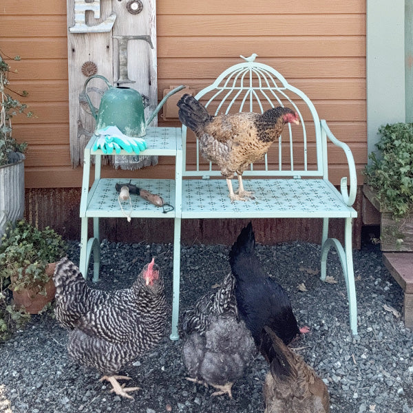 Birdcage Inspired Outdoor Garden Bench