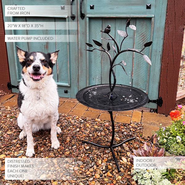 Bird on Branch Outdoor Fountain