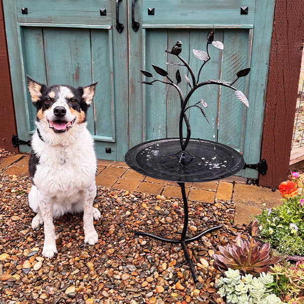 Bird on Branch Outdoor Fountain