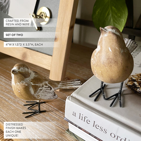 Distressed Brown Bird Figurines, Set of Two