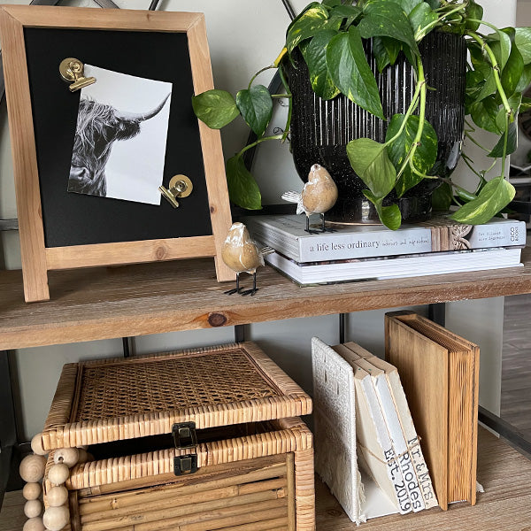 Distressed Brown Bird Figurines, Set of Two