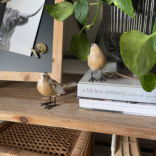 Distressed Brown Bird Figurines, Set of Two