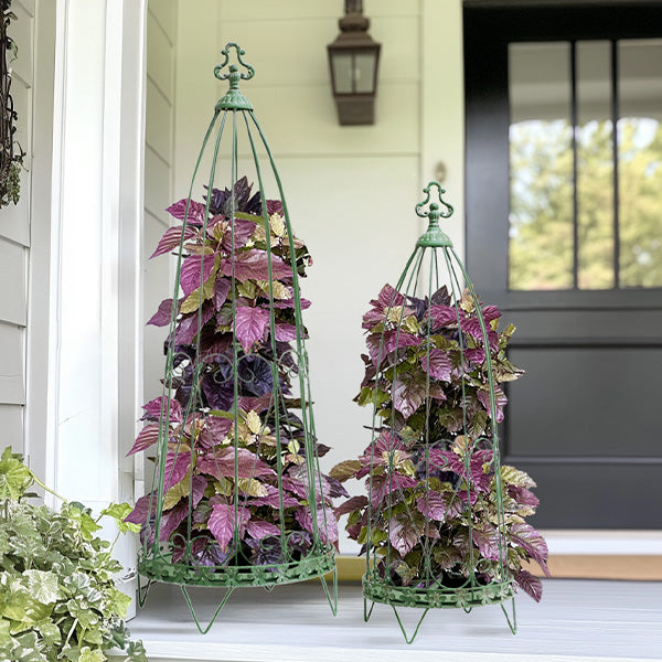 Green Garden Trellis Obelisk, Set of Two