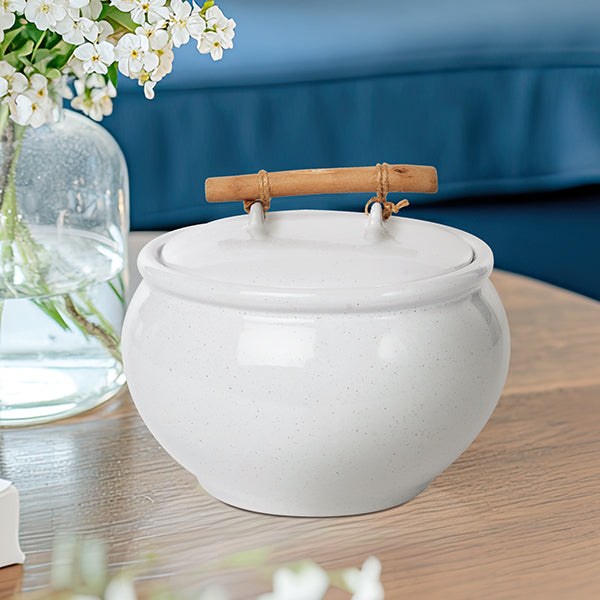 Ceramic Container with Driftwood Handle