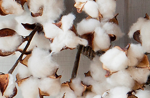 *LARGE* Preserved Cotton Wreath