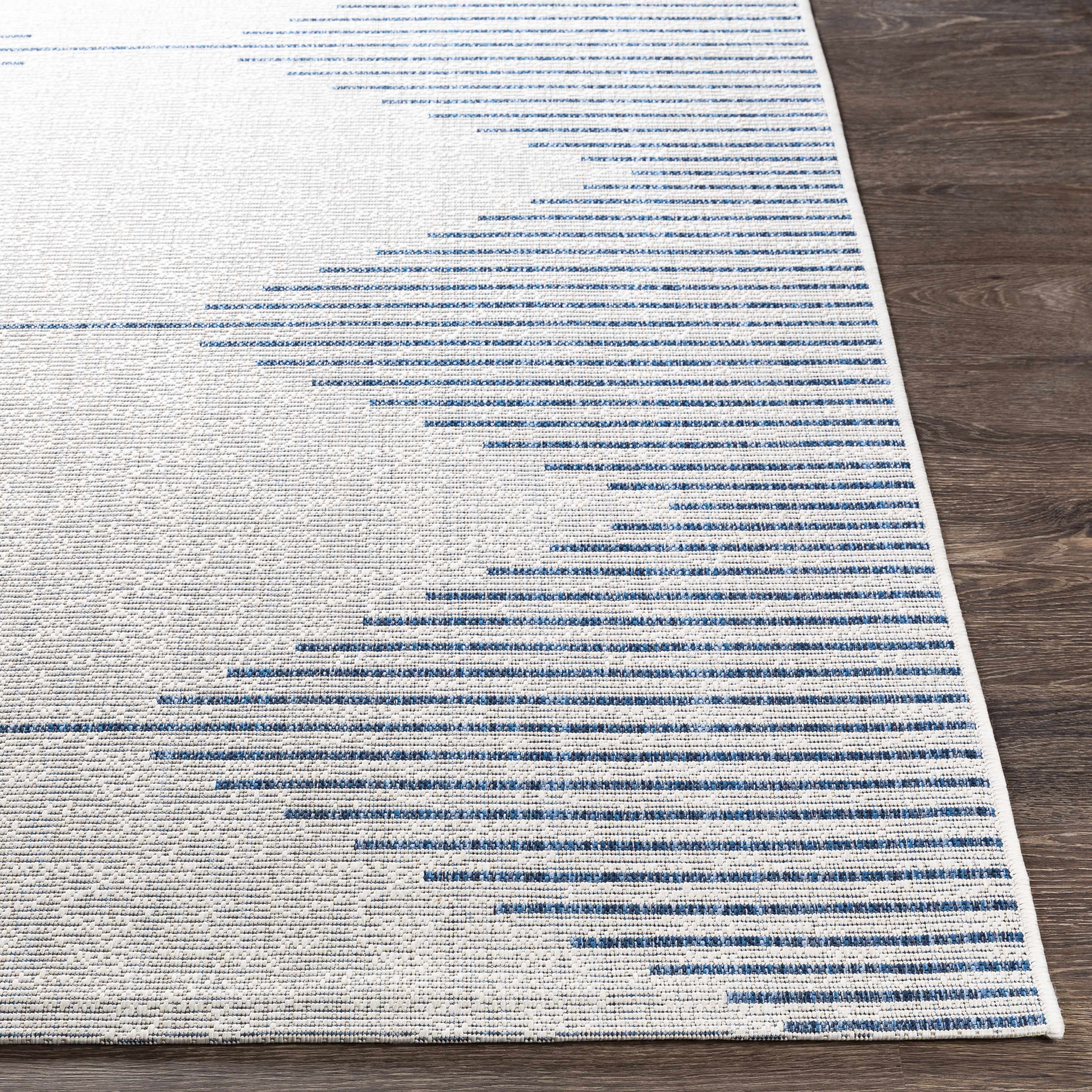 Blue and Cream Outdoor Rug