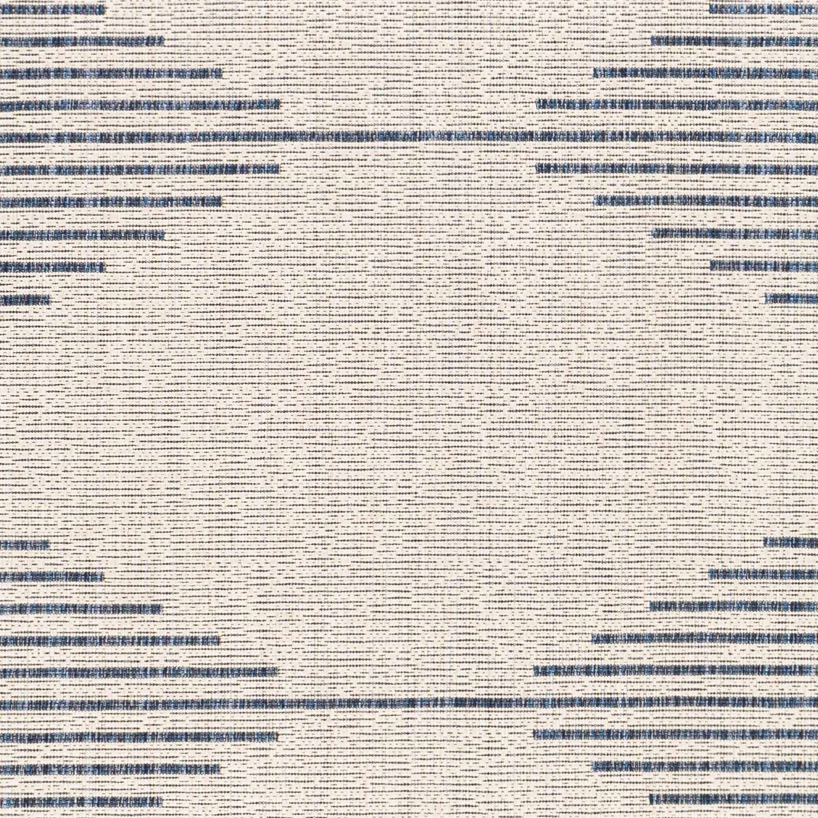 Blue and Cream Outdoor Rug