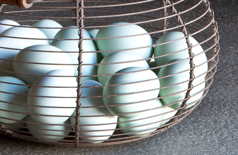Wire Egg Basket