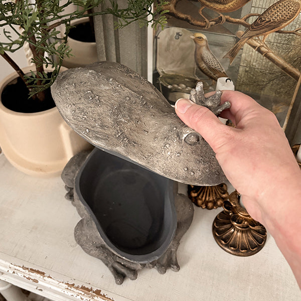 Crowned Frog Mini Storage Box, Set of 2