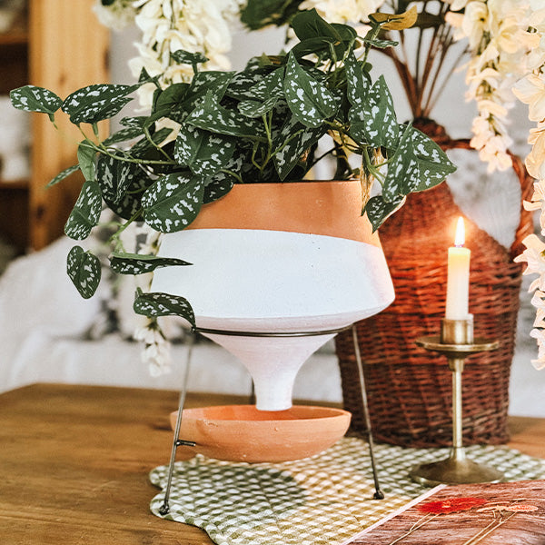 Natural Terracotta Funnel Planter with Metal Plant Stand
