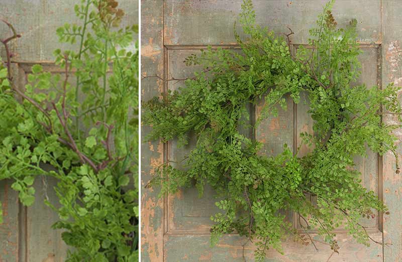 Maidenhair Fern Wreath