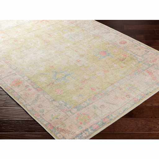Light Brown Distressed Washable Rug