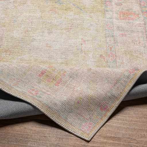 Light Brown Distressed Washable Rug