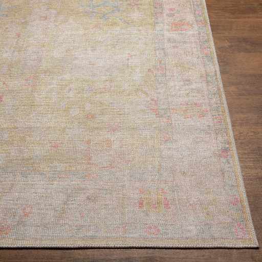 Light Brown Distressed Washable Rug