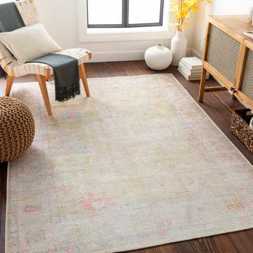 Light Brown Distressed Washable Rug