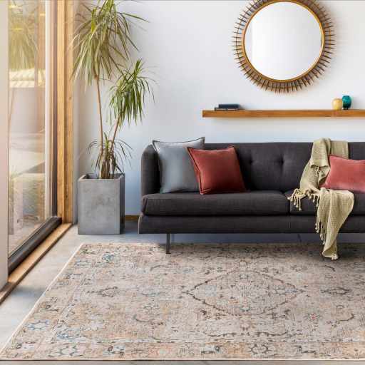 Terracotta Brown Vintage Washable Area Rug