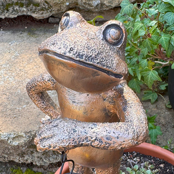 Light Up LED Aged Bronze Frog with Lantern