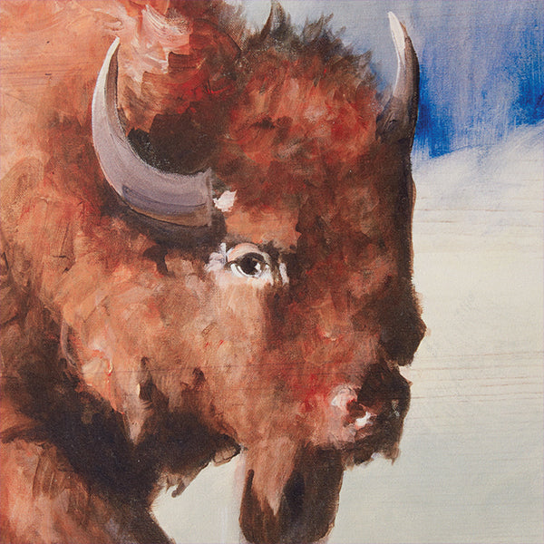 Bison and Longhorn Wall Art, Pick Your Style