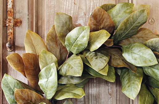 Magnolia Leaf Wreath
