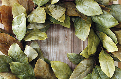 Magnolia Leaf Wreath