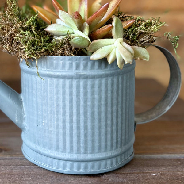 Decorative Tabletop Watering Cans, Set of 2