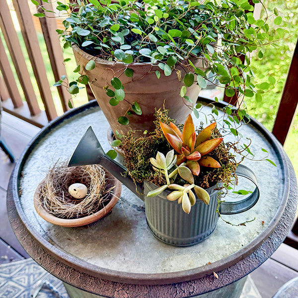 Decorative Tabletop Watering Cans, Set of 2