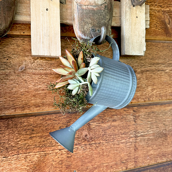 Decorative Tabletop Watering Cans, Set of 2