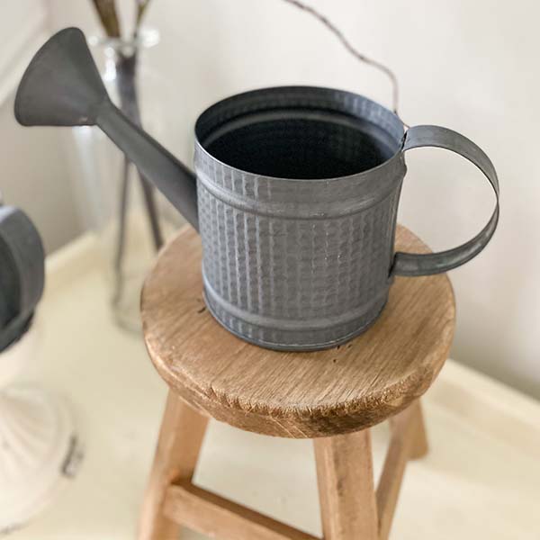 Decorative Tabletop Watering Cans, Set of 2