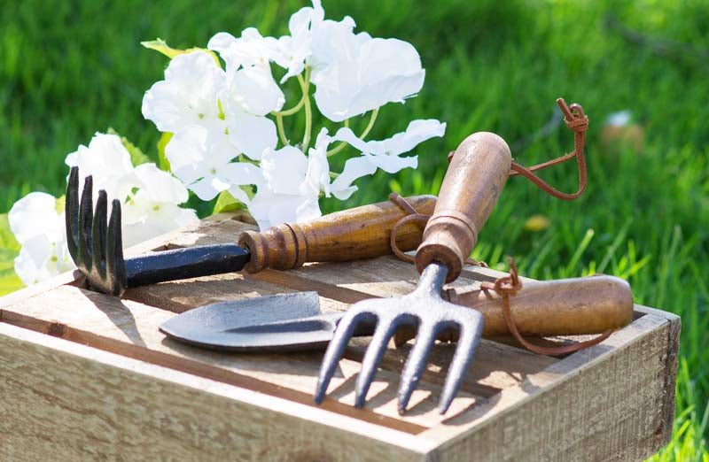 Cast Iron Garden Tools  Set of 3