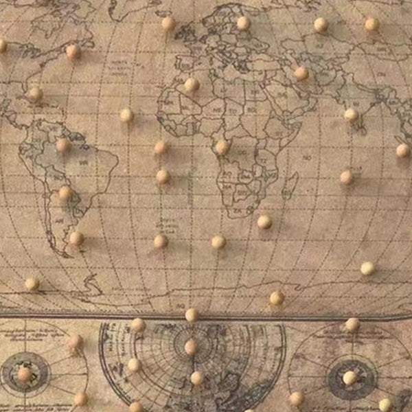 Personalized Push Pin World Map