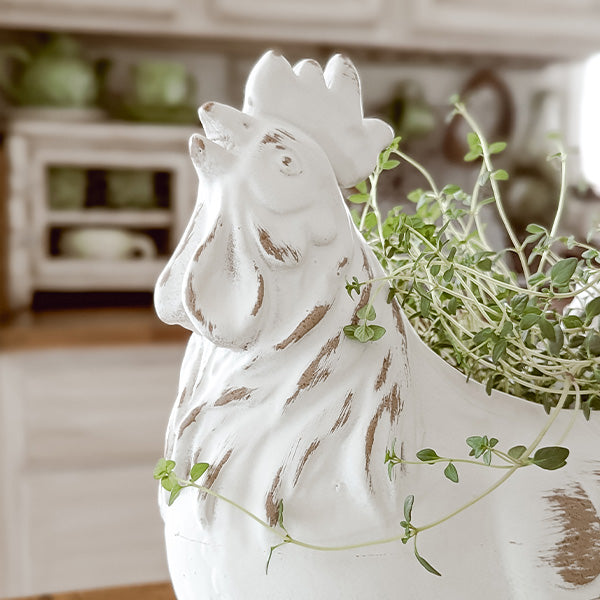 Indoor/Outdoor Distressed Rooster White Planter