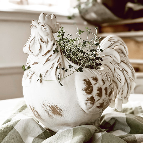 Indoor/Outdoor Distressed Rooster White Planter