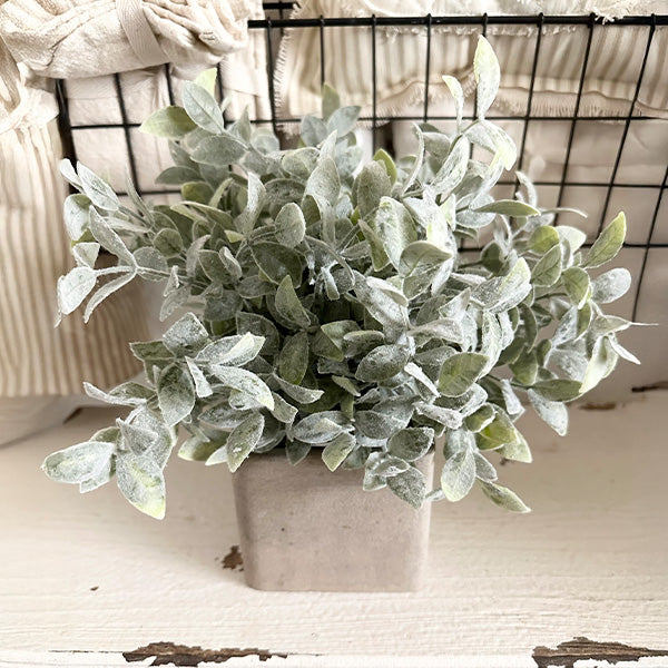 Lifelike Sage Bush in Square Planter, Set of Two