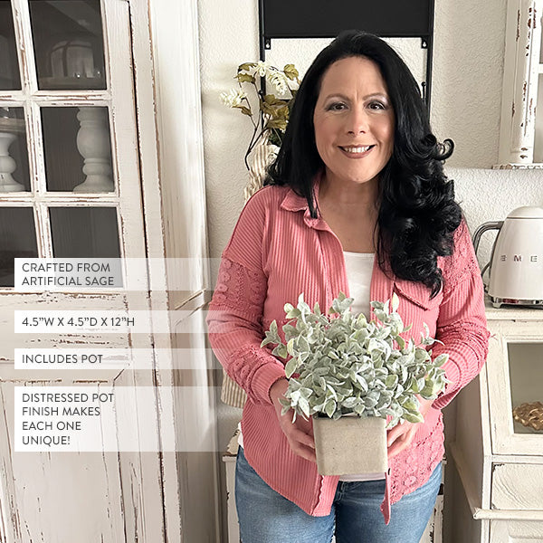 Lifelike Sage Bush in Square Planter, Set of Two