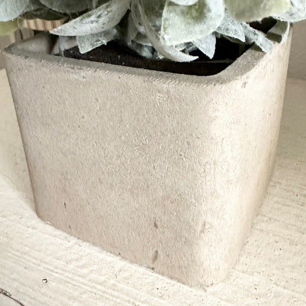 Lifelike Sage Bush in Square Planter, Set of Two