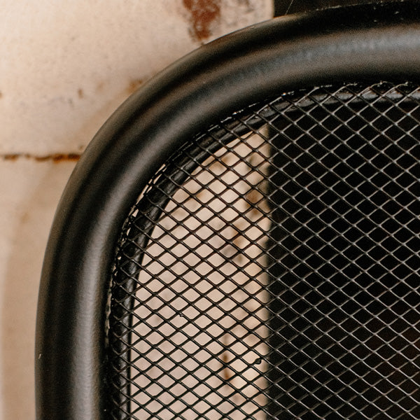 Iron Black Fireplace Screen