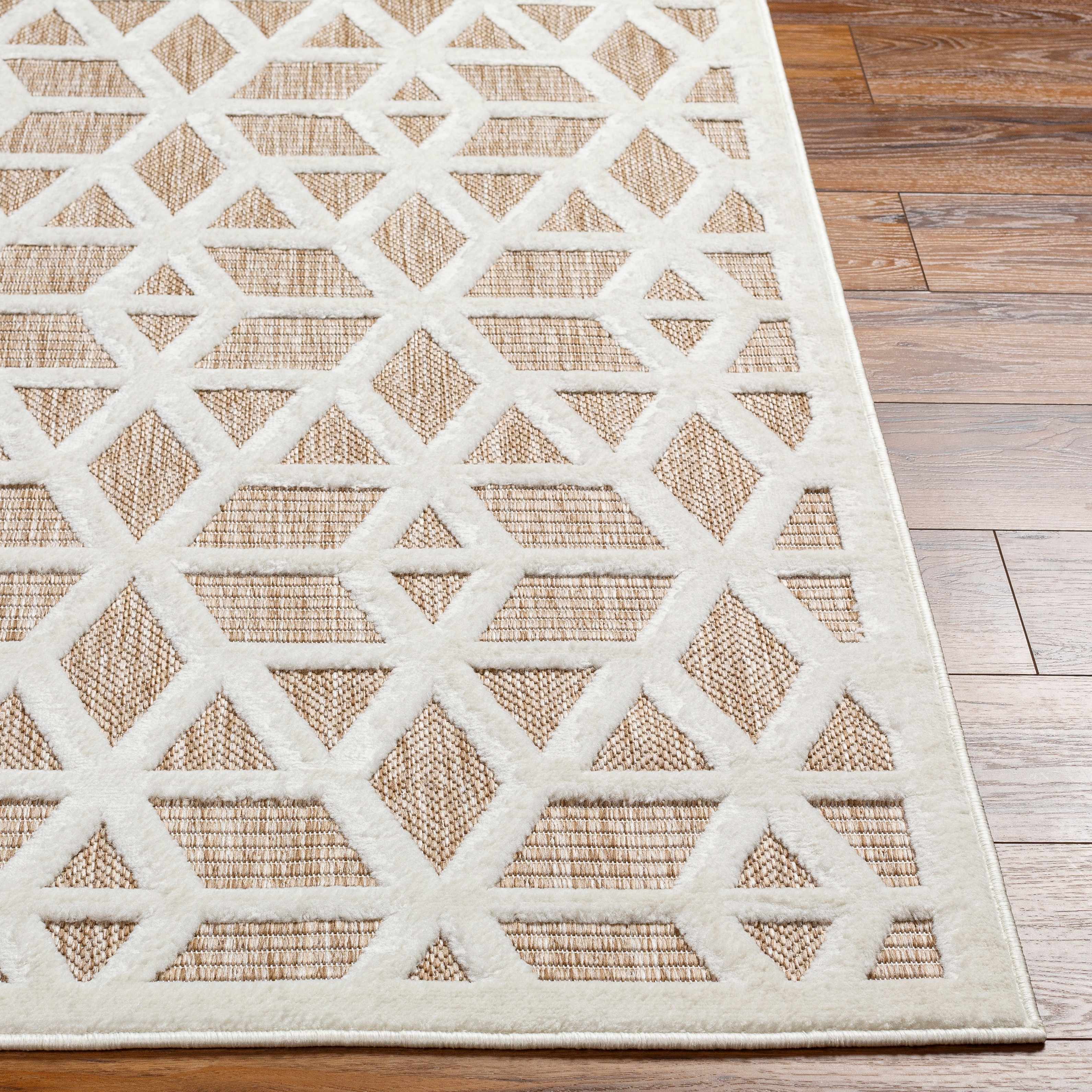 Tan Outdoor Rug