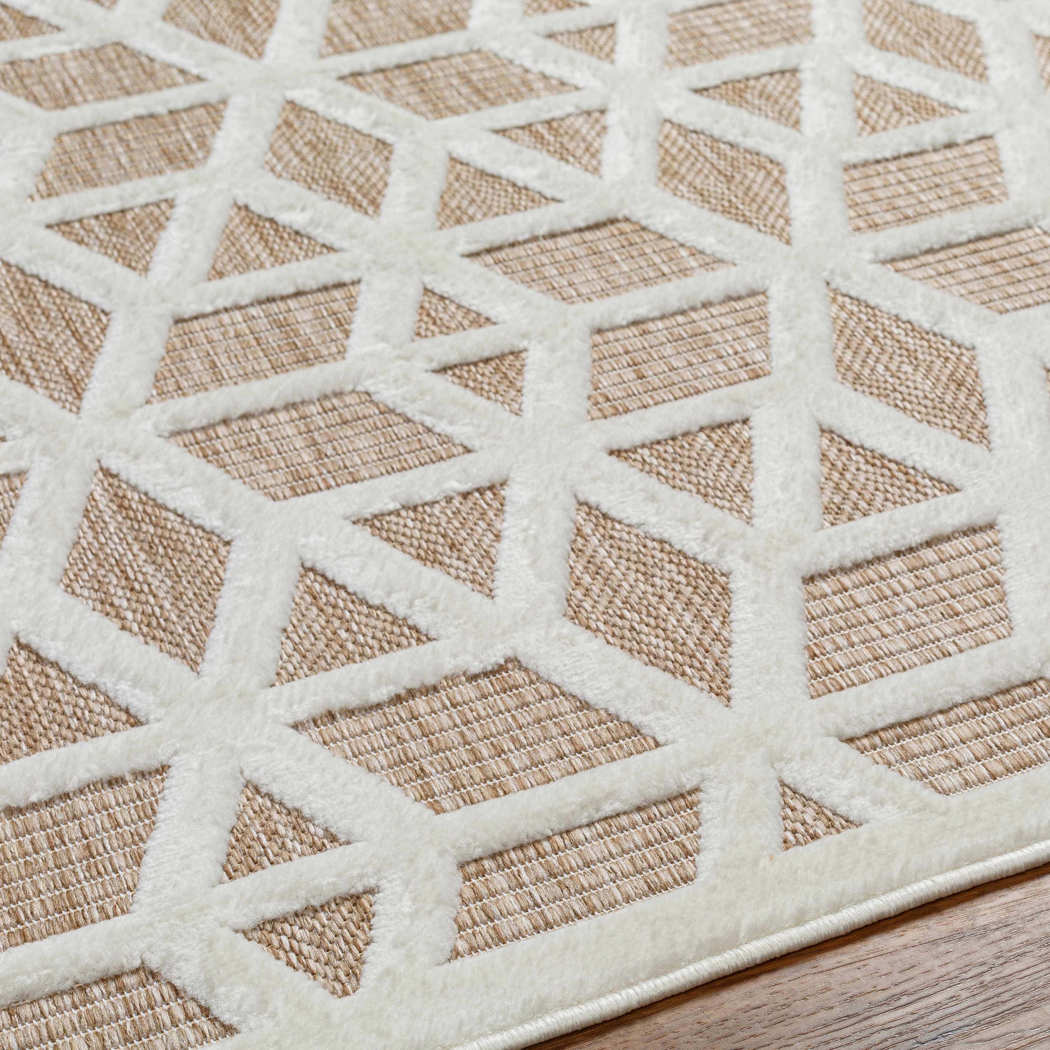 Tan Outdoor Rug