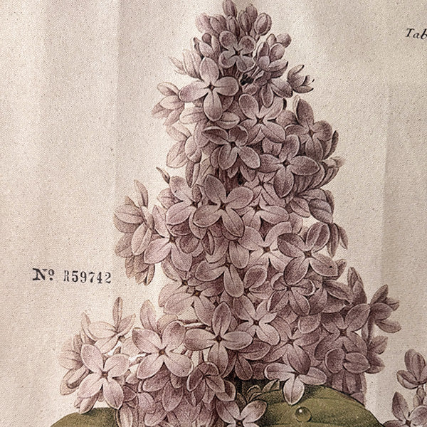 Vintage Inspired Botanical Wall Hanging Canvas, Set of Two