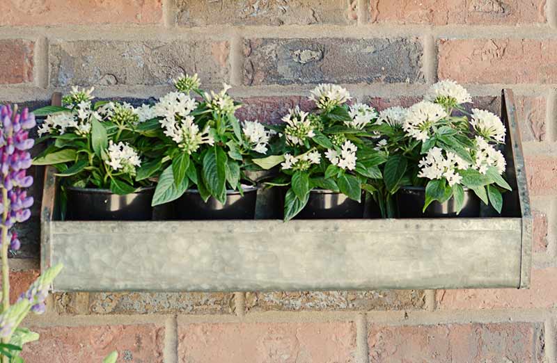 Rustic Wall Trough Planters  Set Of 2
