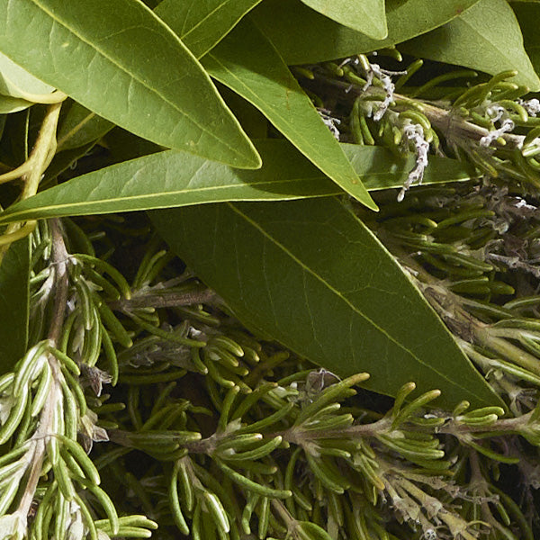 16" Culinary Bay Leaf Wreath With Rosemary
