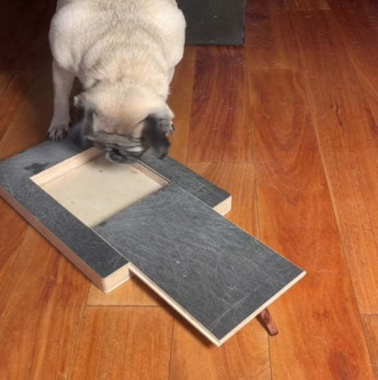 Wooden Dog Scratching Post