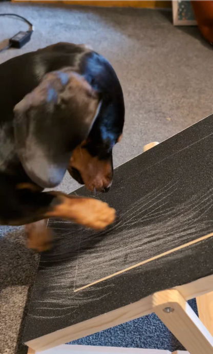 Wooden Dog Scratching Post