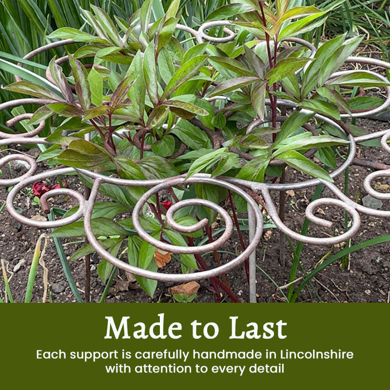 Plant Support